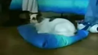 sıcak milf konulu evde porno
