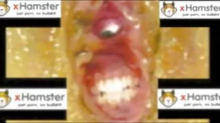 kamera mutfak konulu porno