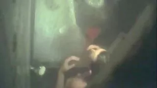 CS Anna, siyah konulu milf porno radyo